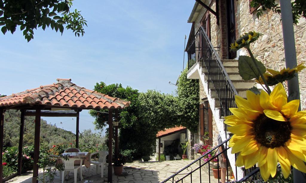 לפוקסטרו Tsorni Hill Cottage מראה חיצוני תמונה